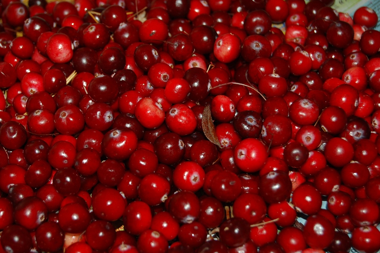 przepis żurawina do mięsa